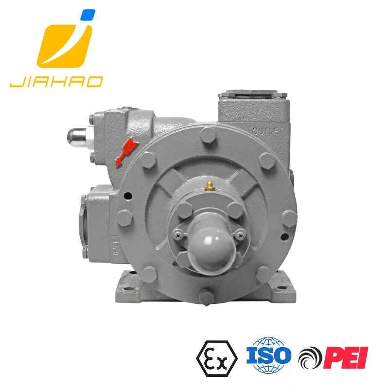 LYB-2000 LPG SOLENOID VALVE LPG GAS TRANSFER PUMP  