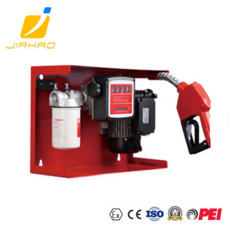 DIESEL TRANSFER PUMP KIT WITH 12V AND 24V DIRECT CURRENT MOTORS