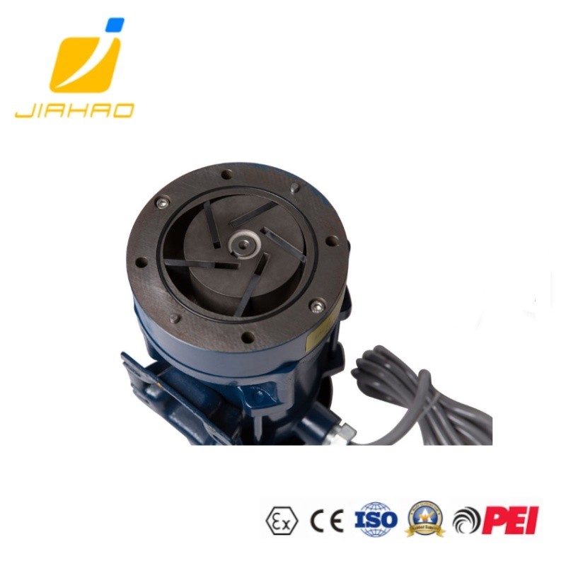 EXPLOSION-PROOF VAPOR RECOVERY VACUUM PUMP