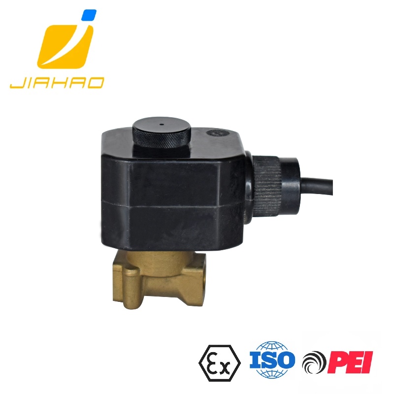 CG/QYF 24VDC ELECTRNOIC GAS-LIQUID RATIO REGULATING VALVE SUITABLE FOR JH-OGMS-300 VAPOR RECOVERY ON-LONE MONITORING SYSTEM 