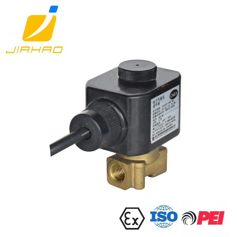 CG/QYF 24VDC ELECTRNOIC GAS-LIQUID RATIO REGULATING VALVE SUITABLE FOR JH-OGMS-300 VAPOR RECOVERY ON-LONE MONITORING SYSTEM 