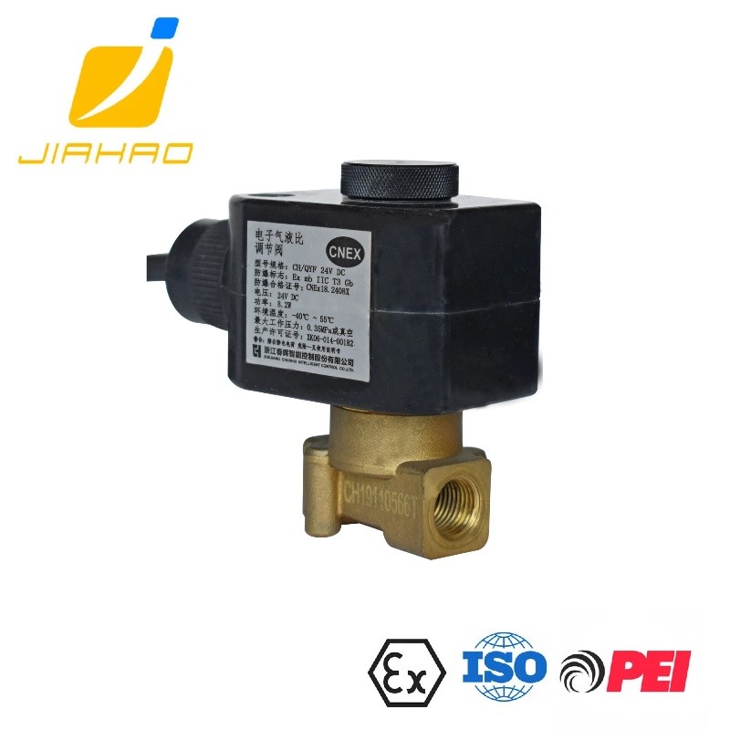 CG/QYF 24VDC ELECTRNOIC GAS-LIQUID RATIO REGULATING VALVE SUITABLE FOR JH-OGMS-300 VAPOR RECOVERY ON-LONE MONITORING SYSTEM 