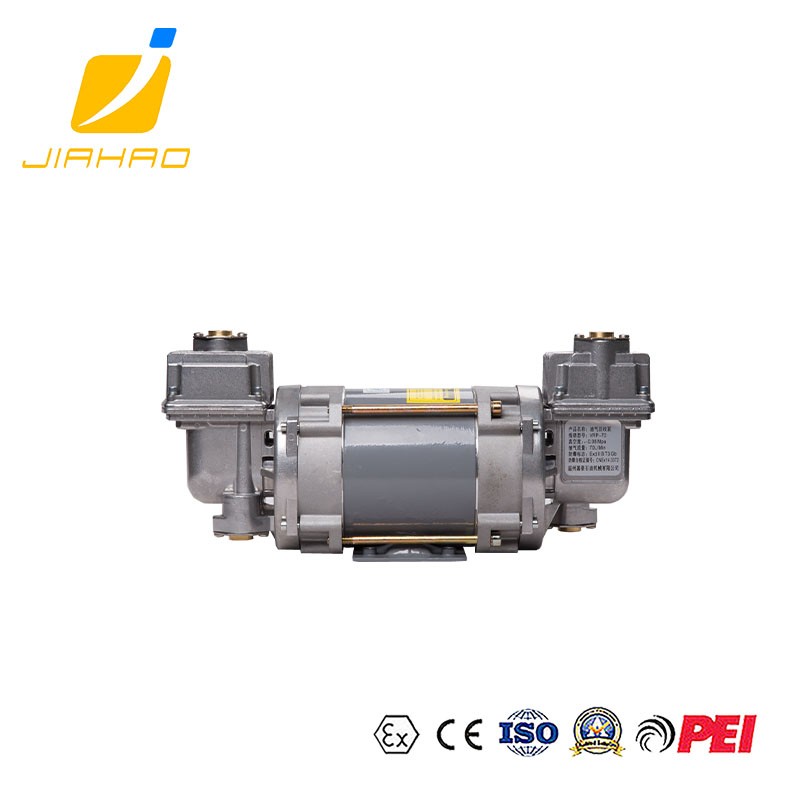 JH-VRP-70 VAPOR RECOVERY DURR PUMP 