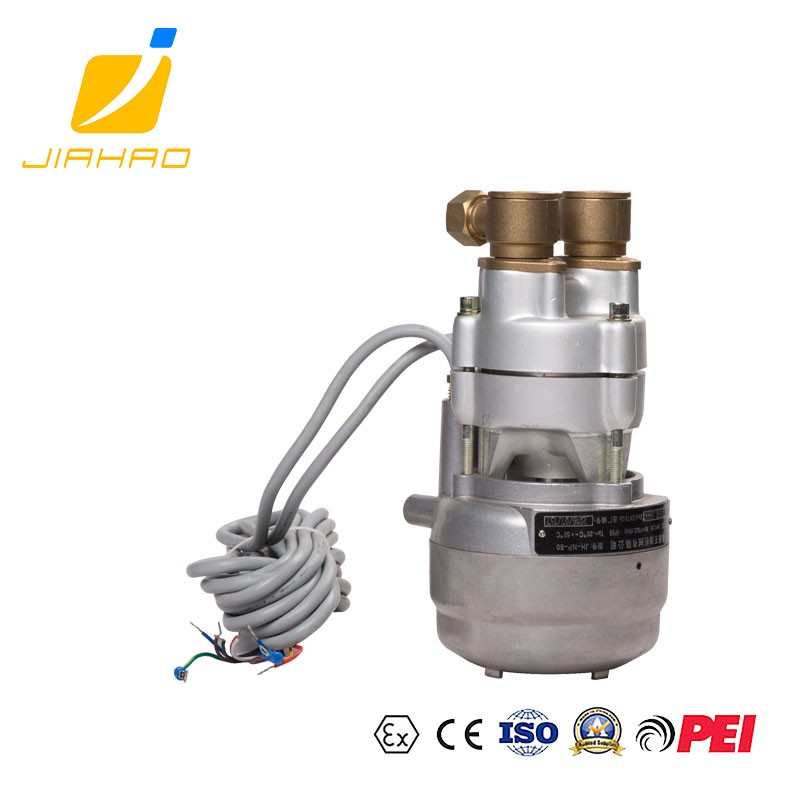 JH-NP-80 36VDC VAPOR RECOVERY VACUUM NP PUMP